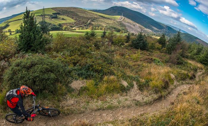 Mountain biking in Afan Forest Park
